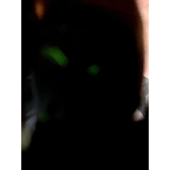 Bulova Accutron Men's Watch Vintage 1970's N7 Swiss Quartz 3669 Gold Steel 35mm - Picture 9 of 16